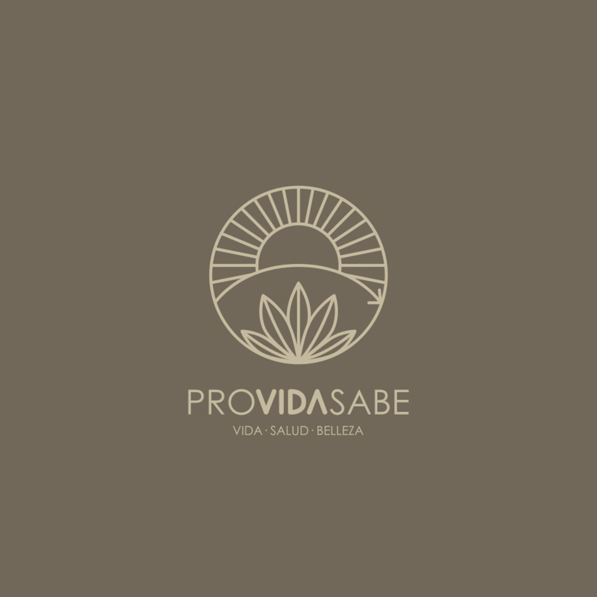 Logo | Providasabe